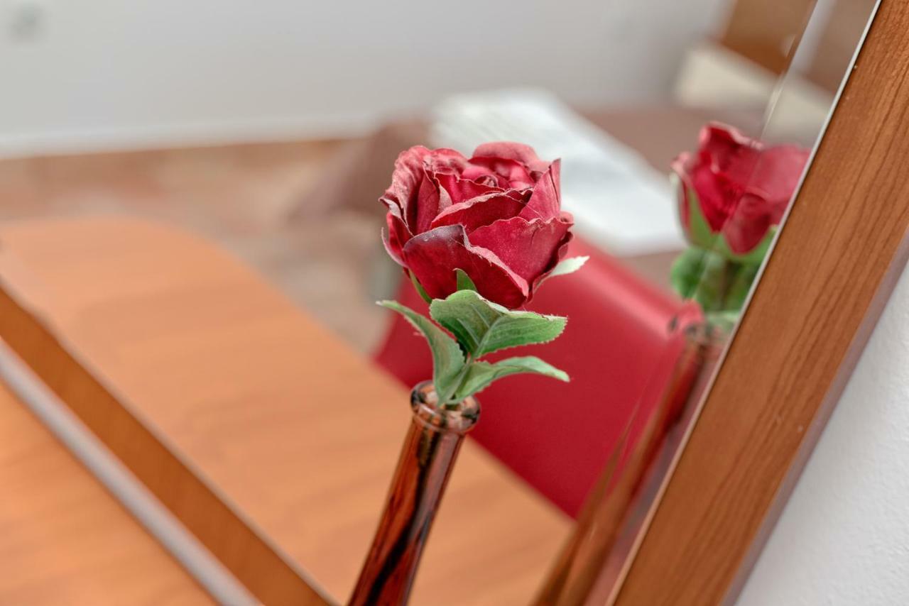 קוטור Apartments Ivanovic מראה חיצוני תמונה